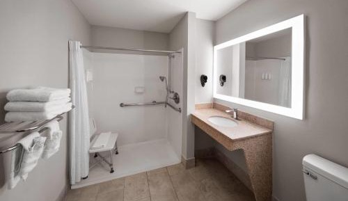 King Room with Roll-in Shower - Mobility Access/Non-Smoking