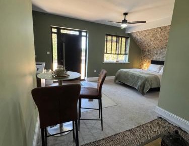 Deluxe One-Bedroom Apartment