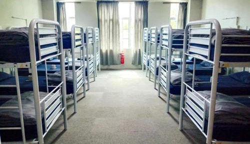 Bunk Bed in Mixed Dormitory Room