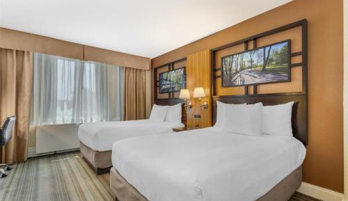 Double Room with Two Double Beds