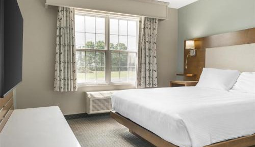 Junior Queen Suite with Sofa Bed