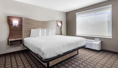 One-Bedroom King Suite with Sofa Bed and Walk-In Shower - Non-Smoking