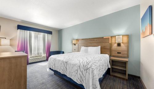 King Room - Non-Smoking