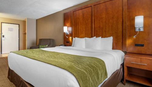 King Suite with Sofa Bed- Non-Smoking 