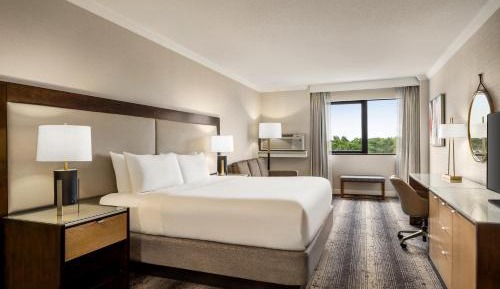 Standard King Room with Mobility Accessible Tub