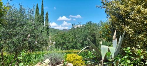 Double Room with Garden View