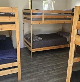 Bed in 6-Bed Dormitory Room
