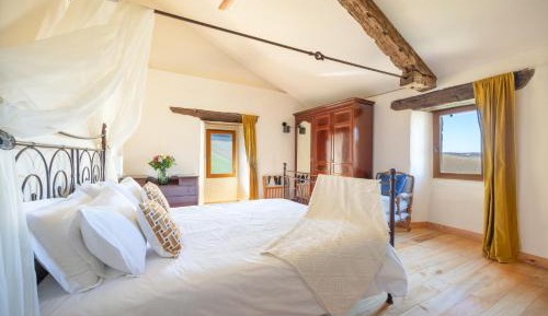 King Room with Garden View