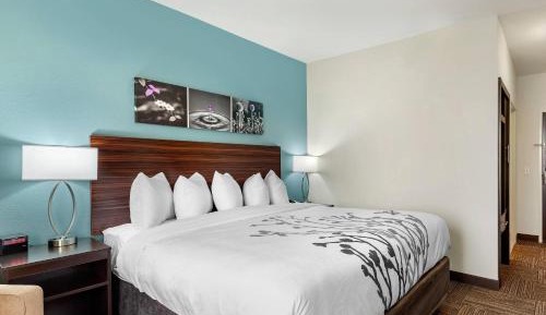 King Room - Non-Smoking