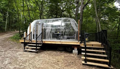 Mobile Home