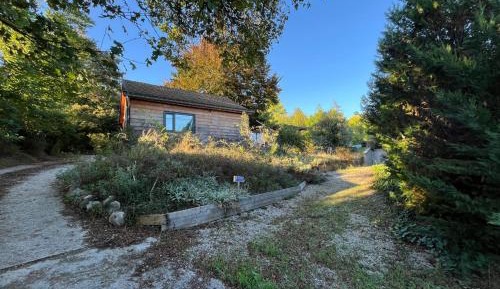 King Room with Garden View
