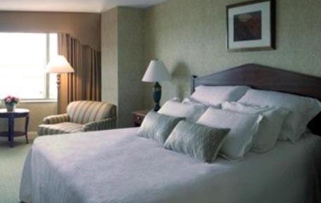 Deluxe King Room - Non-Smoking