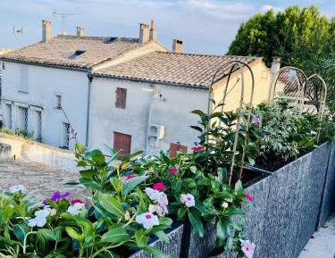 One-Bedroom Deluxe Apartment