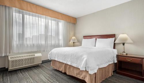 One bedroom Apartment - Queen bed