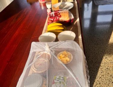 Queen Room with Garden View