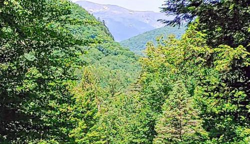 Three Bedroom Chalet