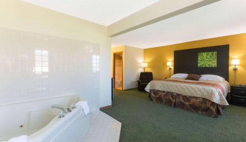 Deluxe King Studio Suite - Non-Smoking