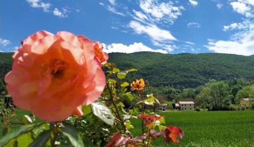 Double Room with Mountain View