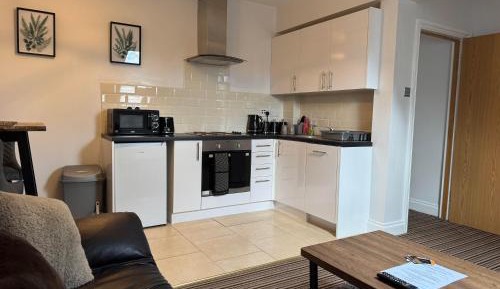 One-bedroom Loft Apartment 