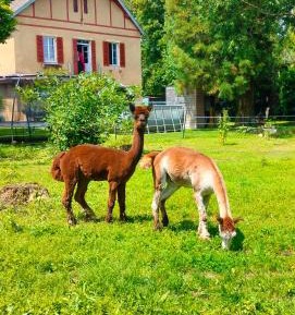 Apartment with Sauna