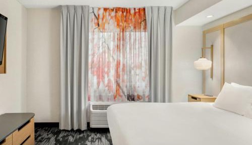 Suite, 1 King, Sofa bed