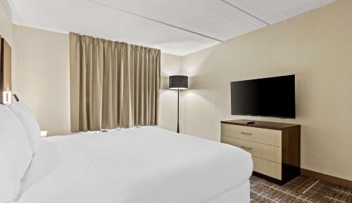 One-Bedroom King Suite - Non-Smoking