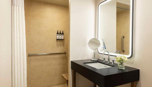 King Room with One King Bed and Accessible Shower