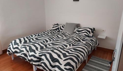 Double Room with Shared Bathroom