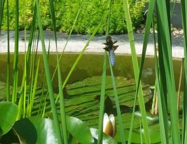 Family Room with Shower
