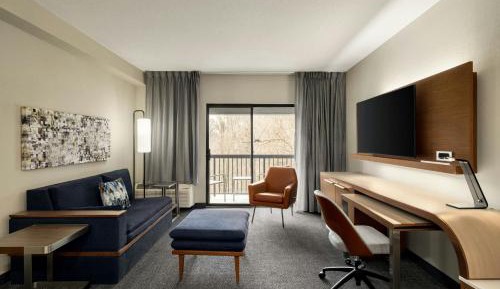 King Suite with Sofa Bed - Communication Assistance