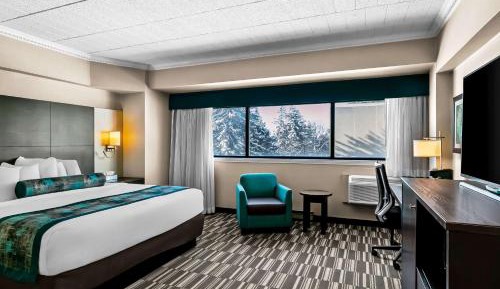 Executive King Room - Non-Smoking