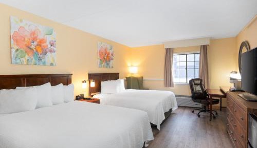 Queen Room with Two Queen Beds