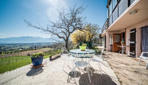 One-Bedroom Apartment with Garden View