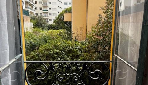 Bed in Male Dormitory Room