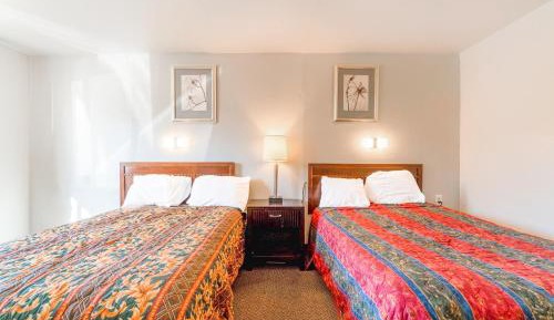 3 Full Bed