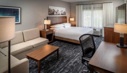 Executive Suite, 1 King, Sofa bed