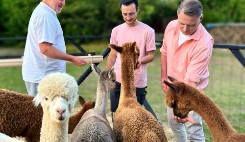 Deluxe Double Room with Shower