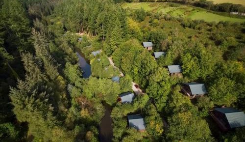 Golden Oak Cabin (pet-friendly)