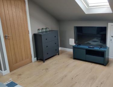 One-bedroom Loft Apartment 