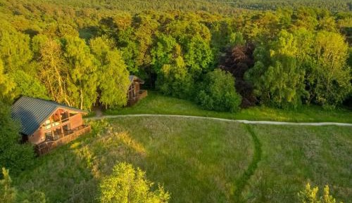 Silver Birch Cabin (pet-friendly)