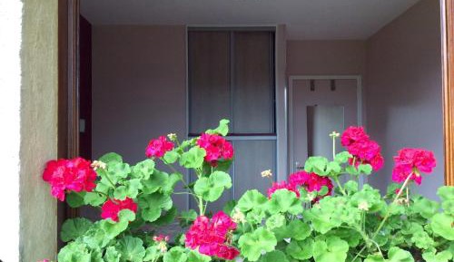 Double Room with Garden View