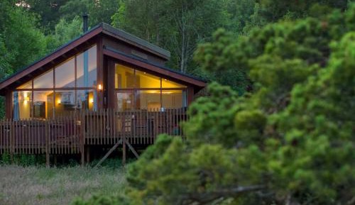 Golden Oak Cabin (pet-friendly)