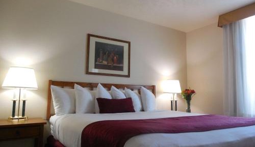 Queen Room with Roll-in Shower - Non-Smoking/Mobility Access