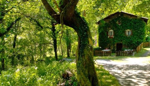 Four-Bedroom Vacation Home