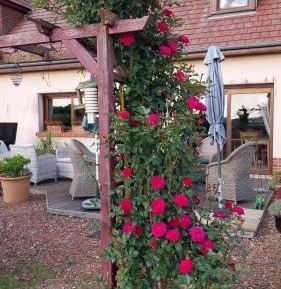Family Room with Garden View