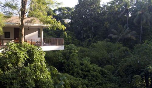 Forest Villa ,Daily Afternoon Tea, Complimentary 60-minute photography session with one photo included, Daily schedule shuttle service to Ubud, Daily wellness activities, Bicycles for personal use around the resort