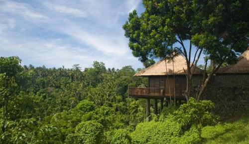 Villa ,Daily Afternoon Tea, Complimentary 60-minute photography session with one photo included, Daily schedule shuttle service to Ubud, Daily wellness activities, Bicycles for personal use around the resort