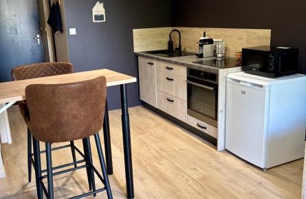 One-Bedroom Apartment with View