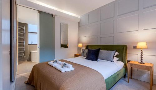 Deluxe One-Bedroom Apartment