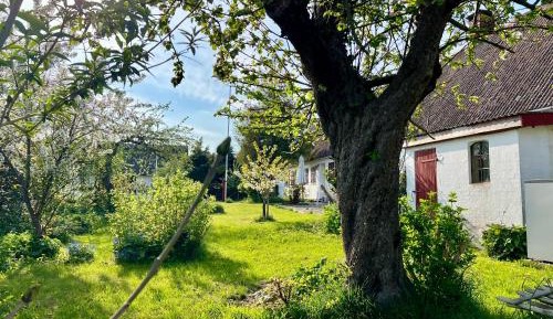 One-Bedroom Apartment with Garden